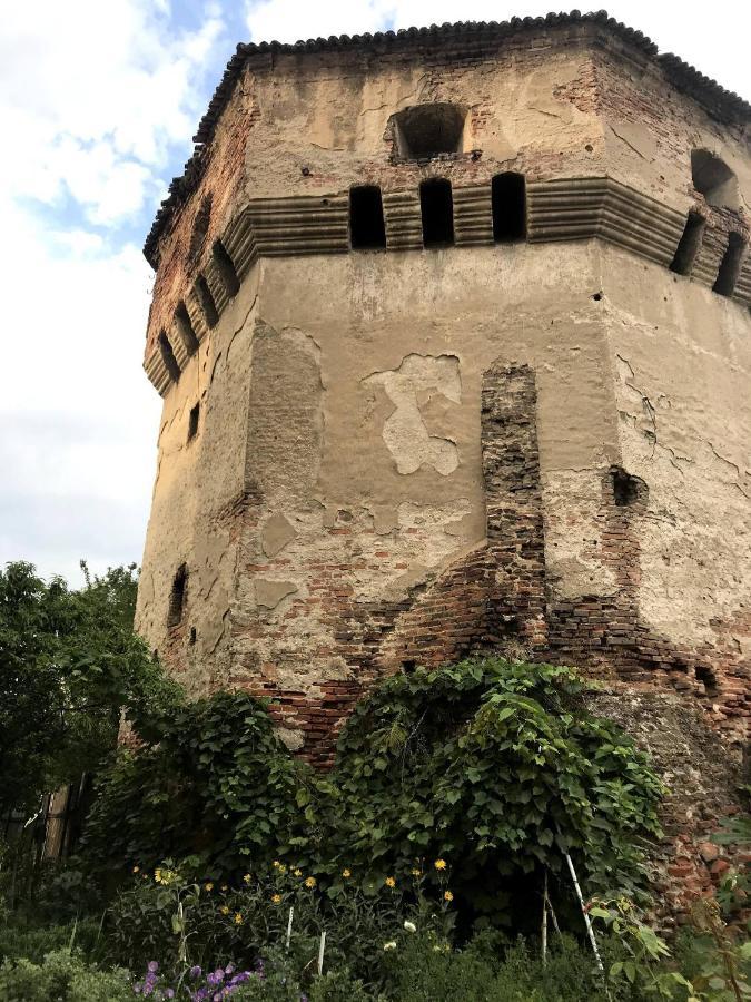 Tanners Tower Condo With A Fireplace Sibiu Eksteriør bilde